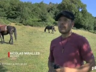 Des Racines et des Ailles  - Nicolas Miralles