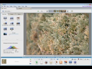 Best editor and converting software