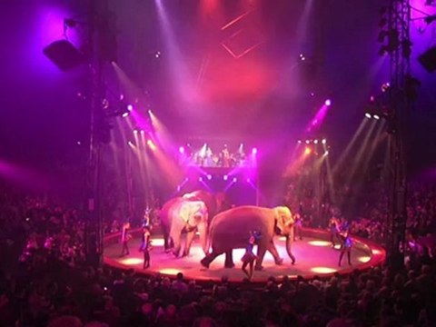 Poussière d’étoile Arlette Gruss 2011