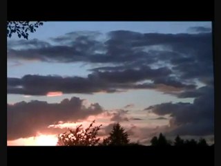 Au bord du nid de Patrick Cousin de Haes