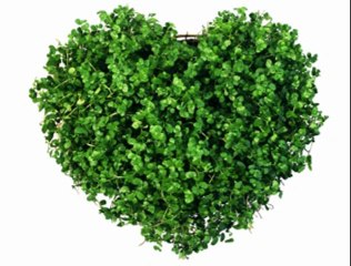 온라인블랙잭 ♥_L­G­3­6­9­.­N­E­T_♥  클락카지노 ▶▼⊃ 바카라전략 스컬