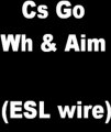 Counter Strike:Global Offensive MultiHack (aimbot, crosshair, wallhack) ESL wire.