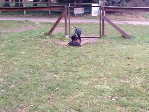 HK du Bois de Liers - 10 semaines