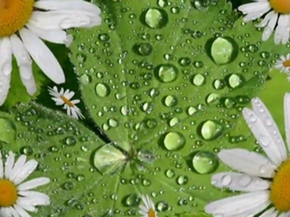 Zeki Müren*Gözlerin Doğuyor Gecelerime*