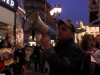 Rassemblement anti vivisection devant l'agence Air France d'Opéra (17.11.2012)