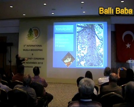 Çam Koşnili 3. Uluslararası Muğla Arıcılık ve Çam Balı Kongresi...