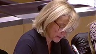 Culture, intervention de Françoise Dumas en commission élargie le 5 novembre 2013