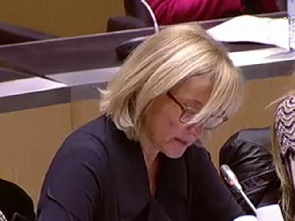 Culture, intervention de Françoise Dumas en commission élargie le 5 novembre 2013