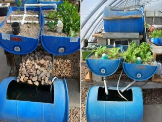 Home Aquaponics - You Can Set Up A Homemade Aquaponics System In No Time