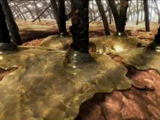 Au coeur du corps humain - Épisode 4 sur 4 - Affronter le danger