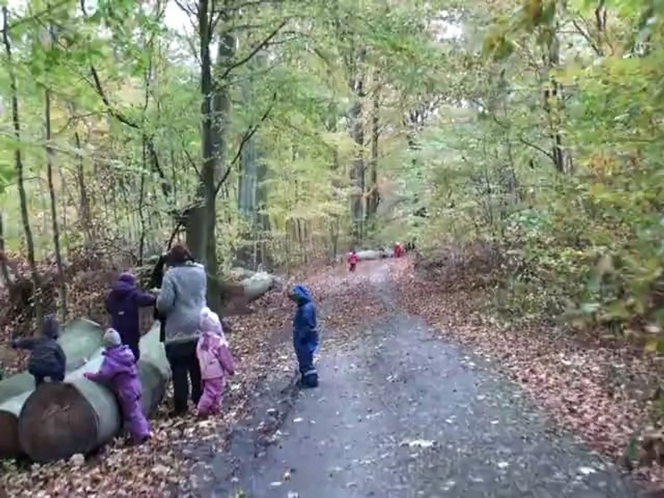 20121029114918