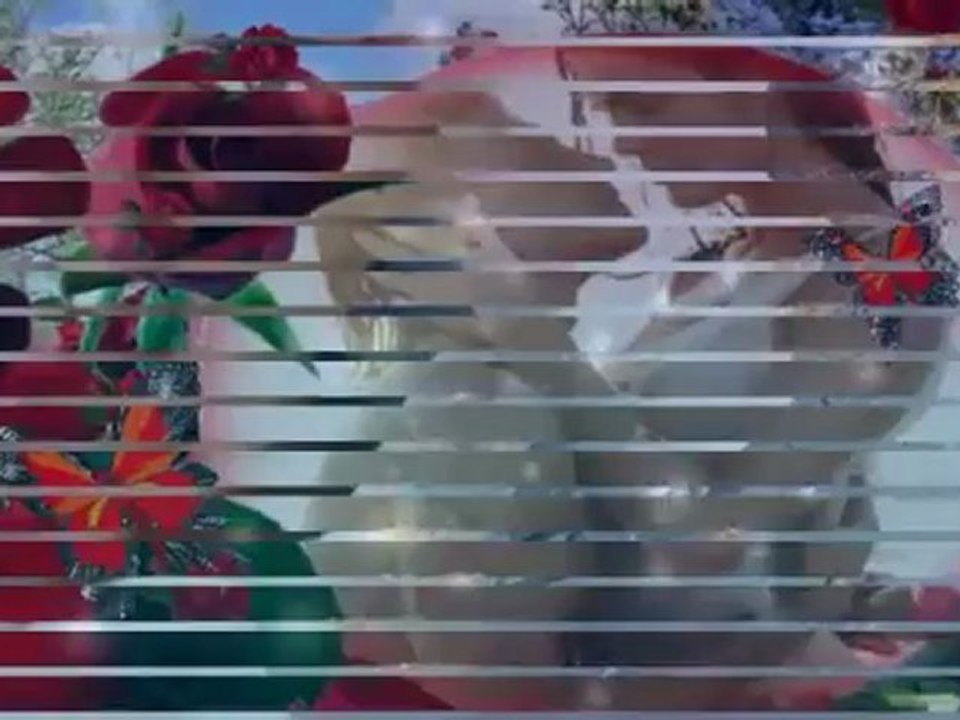 Michael Herz - Engel Der Liebe (Remix)