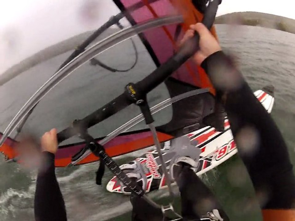 Le planchiste et le cygne