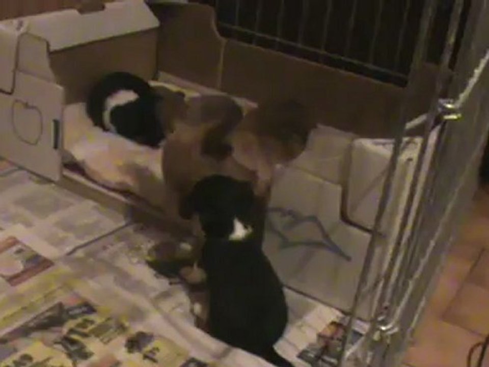 18.11.2012 008