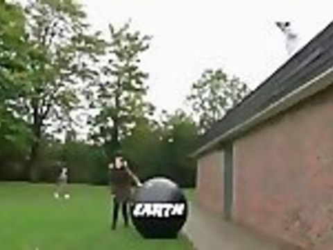 Red Bull Does NOT Give You Wings