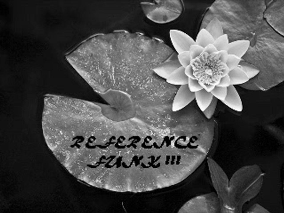 REFERENCEFUNK !!!