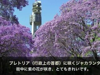 Beautiful South Africa - from SA Tourism Japan & My trip