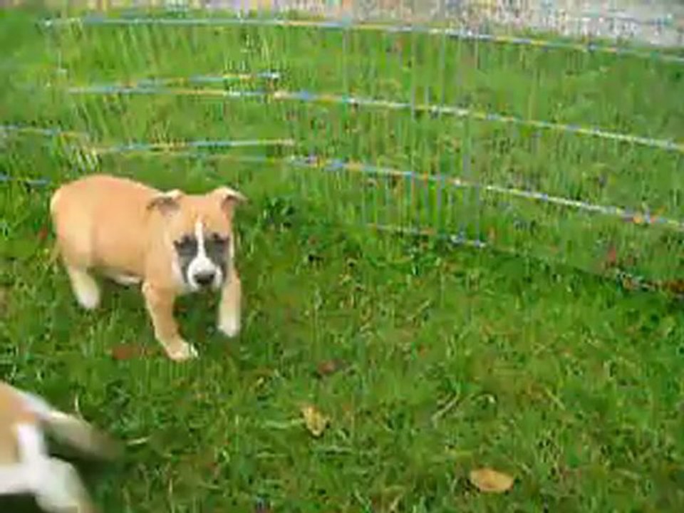 VIDEO DU 18.11.12 DES 2 SOEURS ...