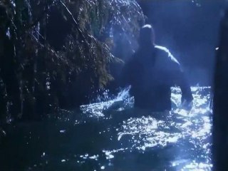 A la vie à la mort[Eaux troubles du crime]