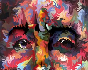 K(mino) Teaser (Girls ver.)