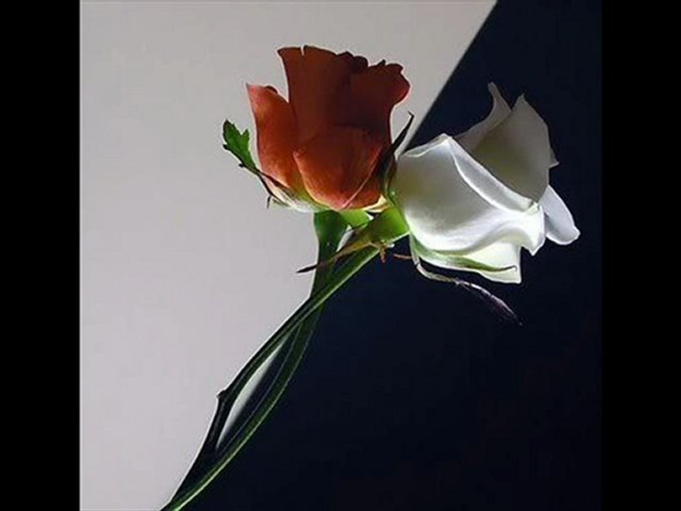 DİLEDİM..Yıldız Usmonova...Ümüt Altundal