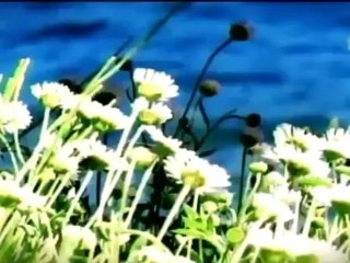 (Vídeo) Contragolpe del Día Miércoles 14 de noviembre, 2012