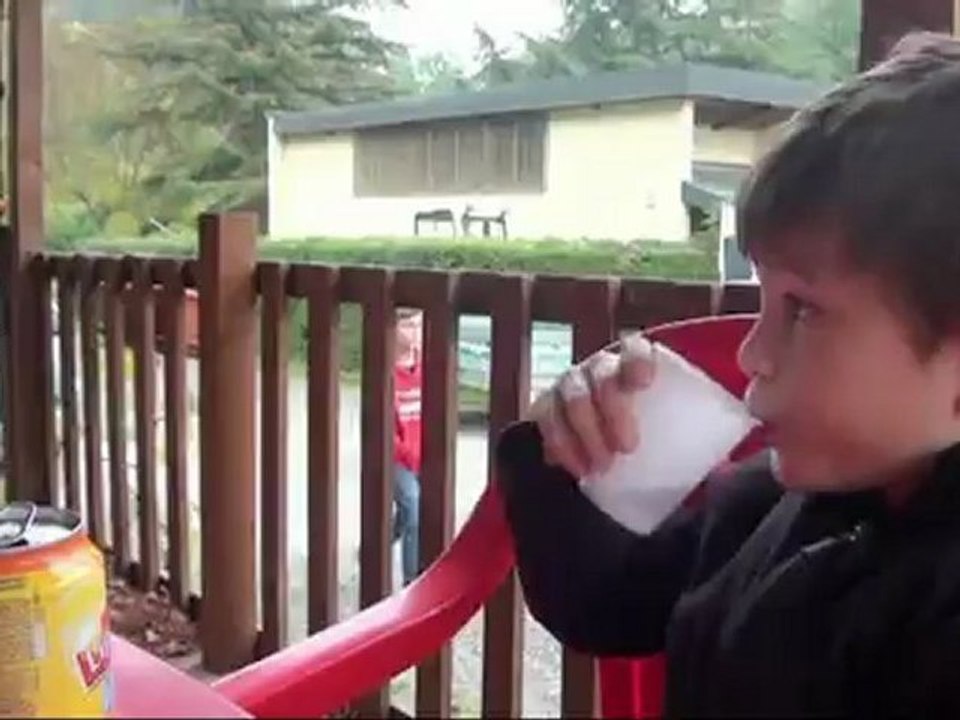 LES P'TItS BRONZES AU PYRENEEN