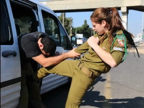 Charming Heronies of IDF ,Ours,branichild 's Fighters