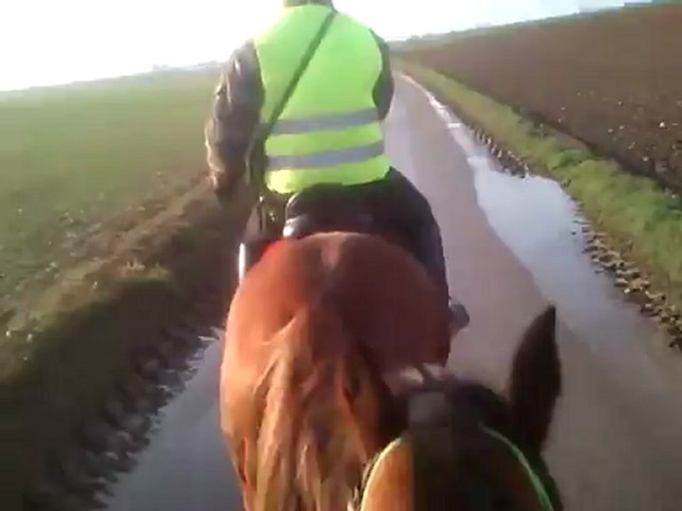 rodeo patch ballade morgny 18 11 2012