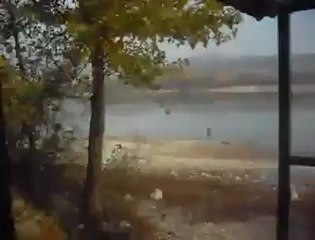 PERCH TAŞOVA (18.11.2012)