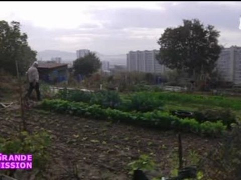 Focus: les jardins ouvriers des Aygalades