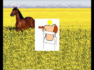 Les Juments Rousses ont 100 fans !