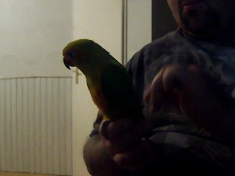 Photo 1272 calin avec tequila