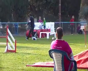 FUN GPF FOS SUR MER 18/11/12