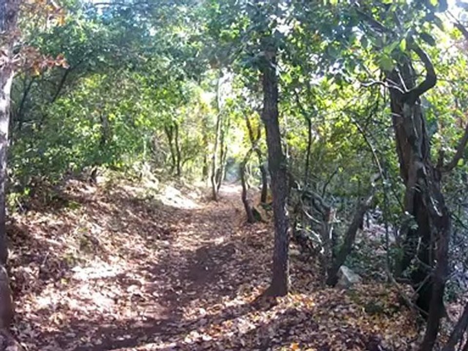 Los Cato Riders VS Les Trauma Riders Factory