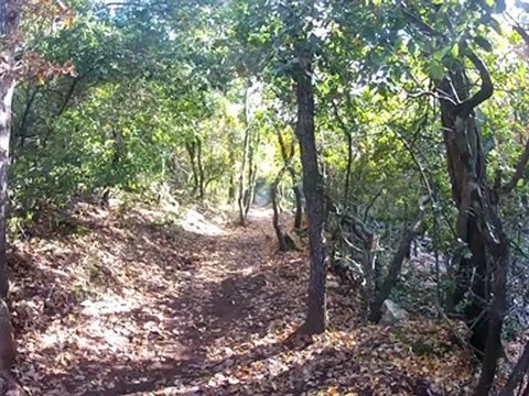 Los Cato Riders VS Les Trauma Riders Factory