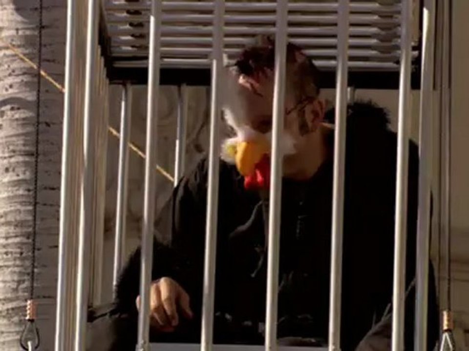 ÉGOUTS - Arrested Development