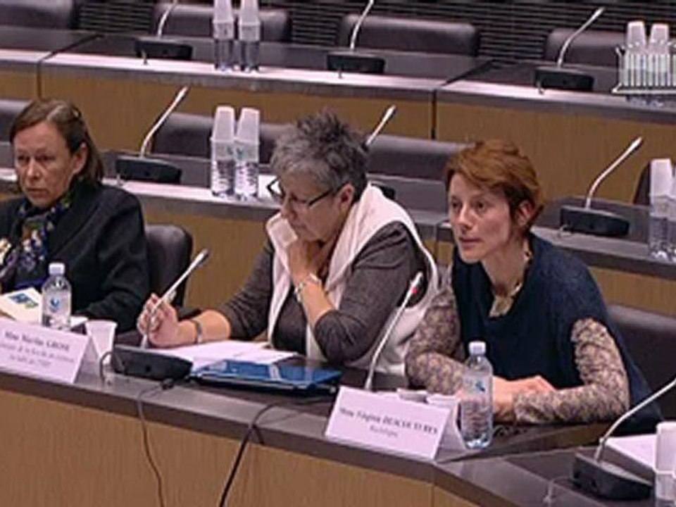Reponse_Audition_mariage_pour_tous_reponse_VDescoutures_sociologue_20121108_AN