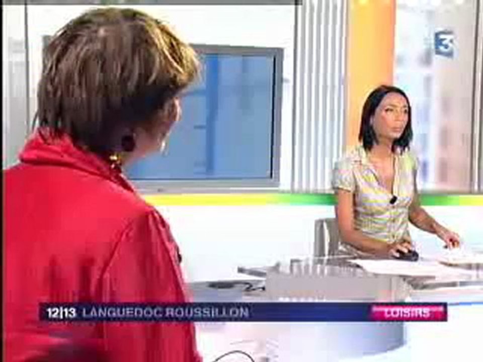 France 3 Région - Annonce démo de stunt à Montpellier