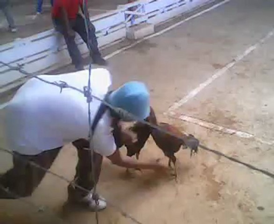 Laborde 2