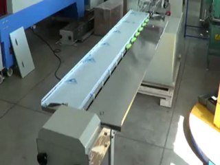 soap wrapping machine