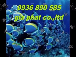 Thợ sửa nhà rẻ uy tín tại quận tân bình call 0936 890 585