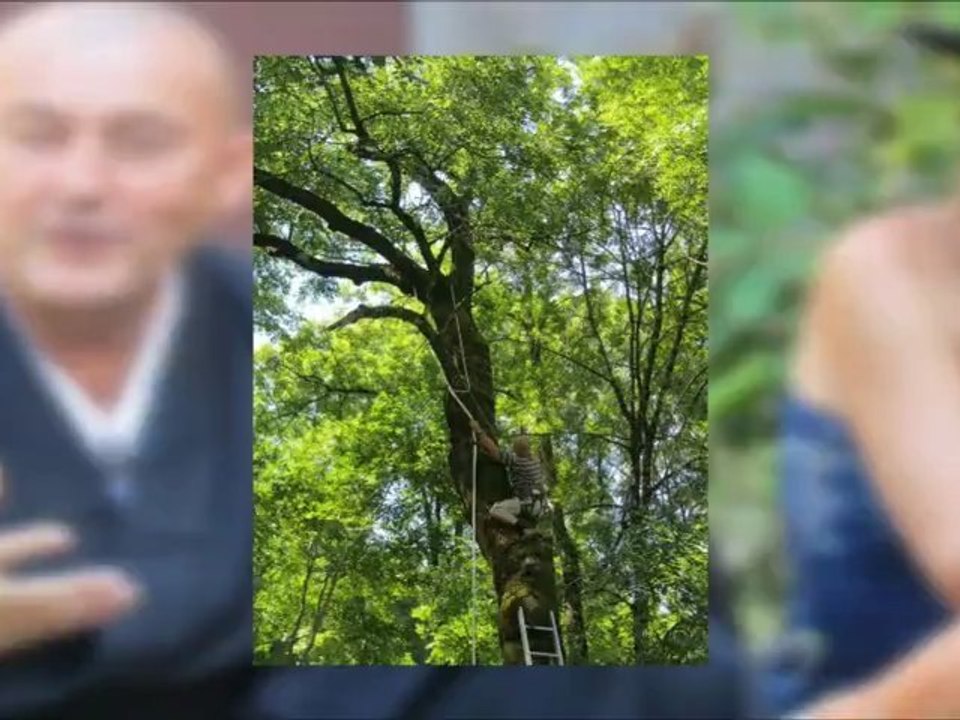 Un mois au temple zen de Caroux  de la Kosen sangha pour le camp d'été de juillet août 2012
