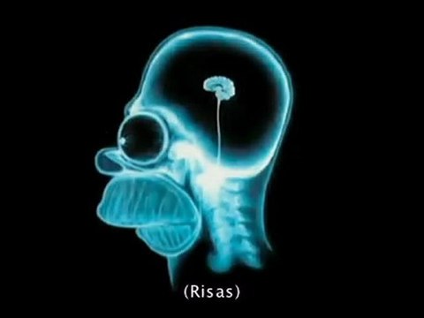 ¿Controlamos nuestras decisiones?: Dan Ariely (v.o.s.)
