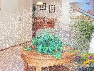 Windemere Apartments in Sunnyvale, CA - ForRent.com