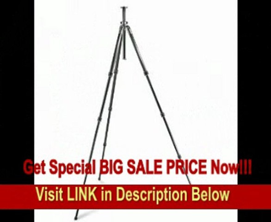 SPECIAL DISCOUNT Gitzo GT2941L Series 2 G-Lock Basalt Tripod