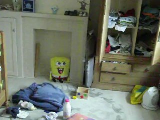 robin dans le lit ramet