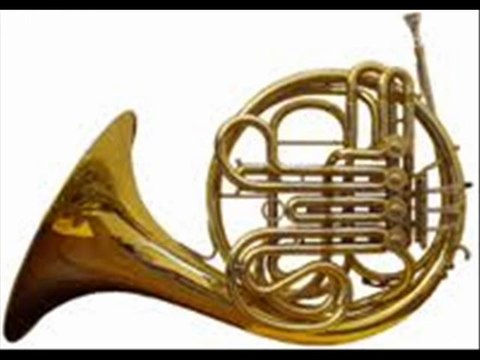 Online music store diegominoia.it - sheet music for various instruments