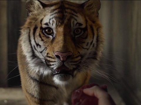 L'Odyssée de Pi : Featurette La Création de Richard Parker VOST HD