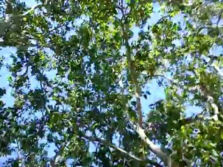 lendemain départ de la tribu en bateau